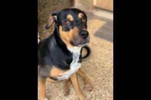 Miniatura publicación